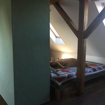 פרייטל Ferienwohnung Schulze מראה חיצוני תמונה